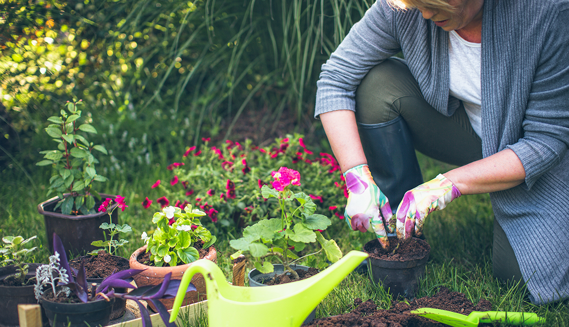 Smart Gardening Tips for a Greener, Healthier Planet