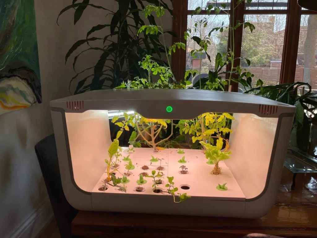 Smart Garden