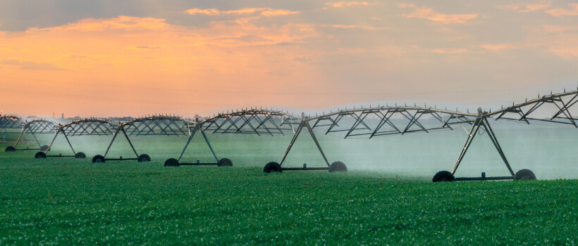 Water Smarter, Not Harder: Mastering Automated Irrigation