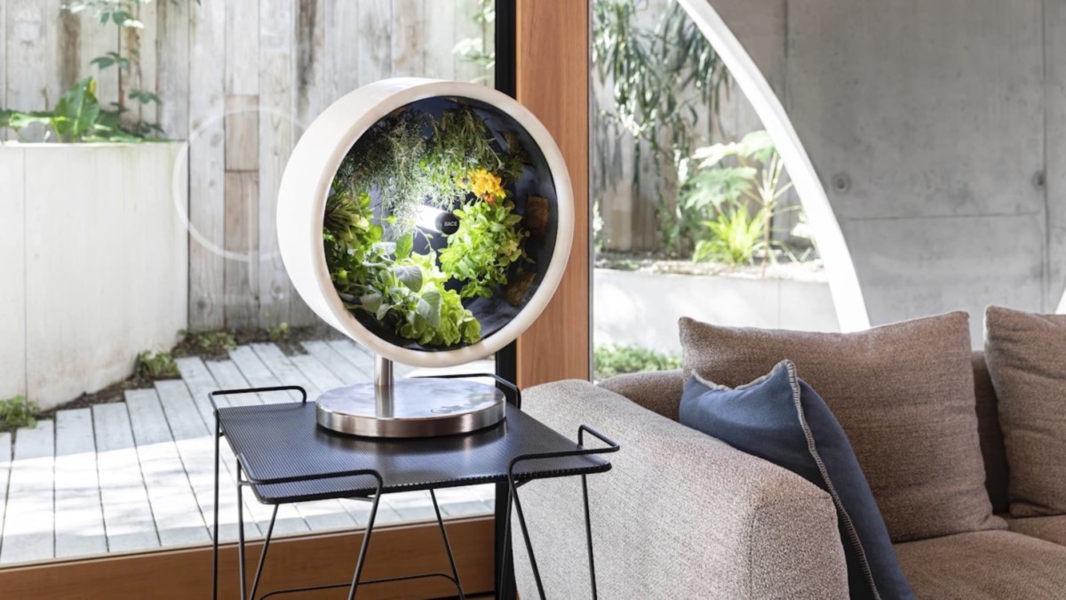 The Future of Indoor Gardening: Smart Technology for Small Spaces