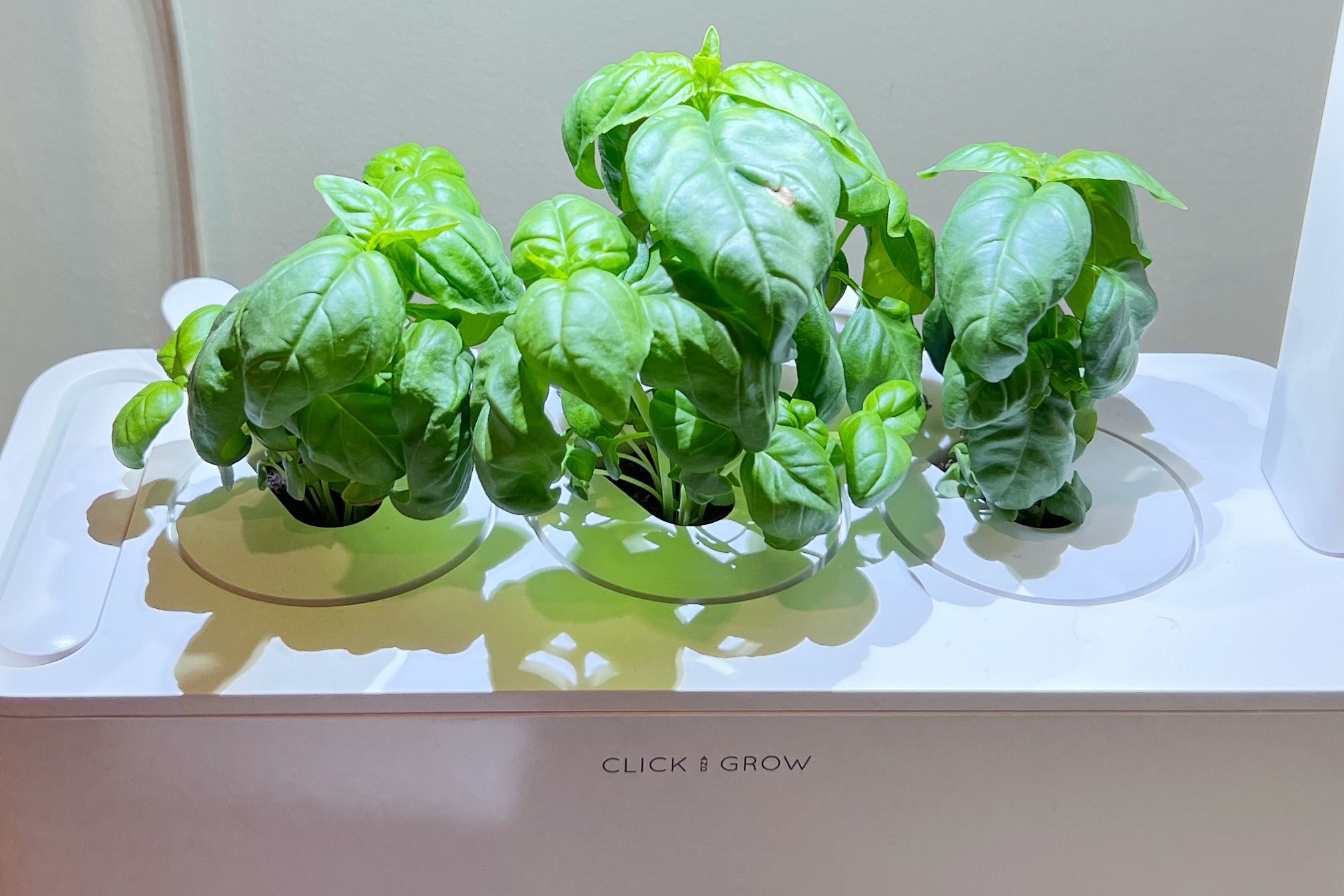 Low-Maintenance, High-Yield: The Power of Indoor Smart Gardens