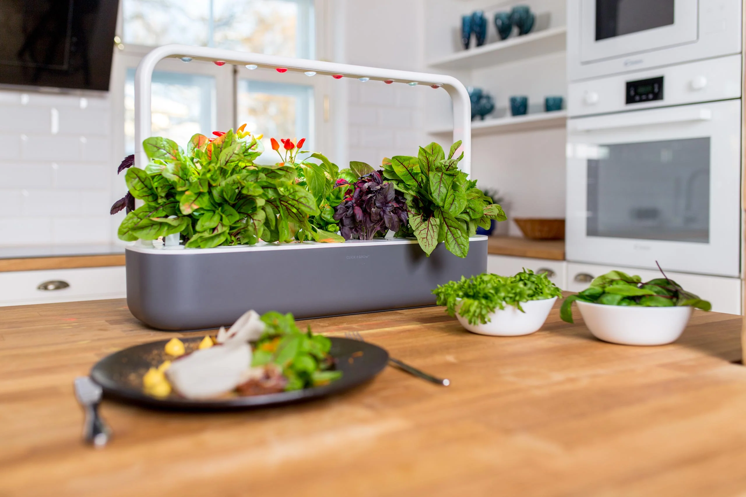 From Seed to Salad: How Indoor Smart Gardens Make It Easy