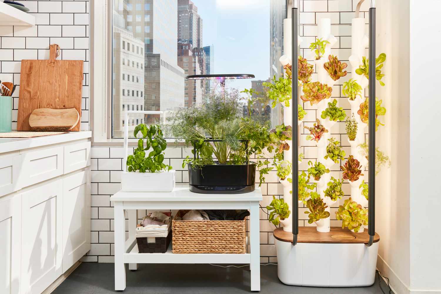 Best Smart Indoor Gardens for Apartments and Small Spaces