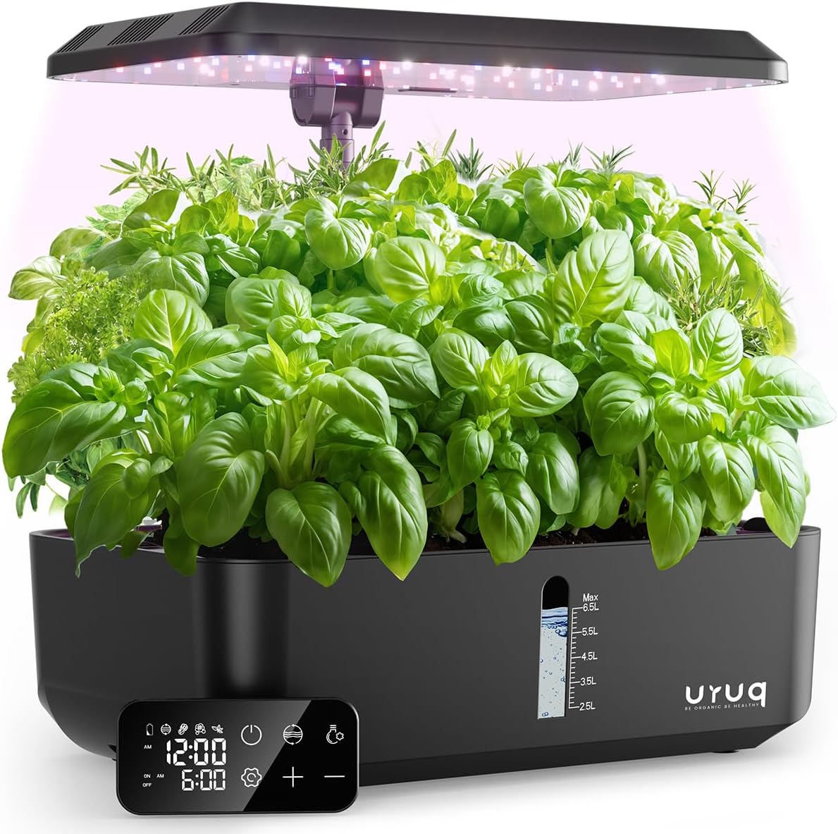 Hydroponics and Beyond: Exploring Indoor Smart Garden Systems